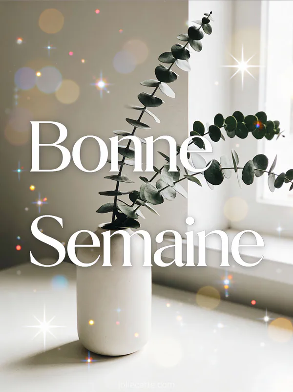 Image gratuite Bonne Semaine minimaliste eucalyptus dans vase blanc