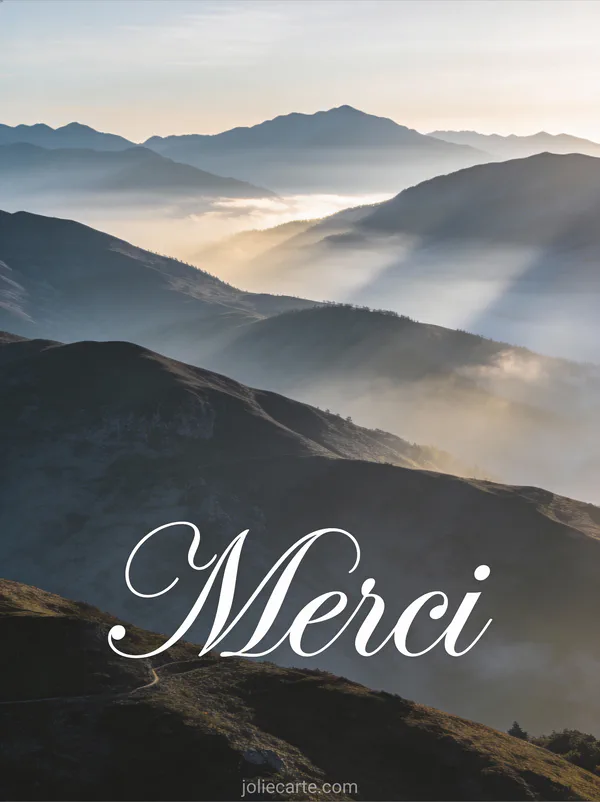 Texte carte remerciement décès illustré avec faon parmi fleurs sauvages texte Merci