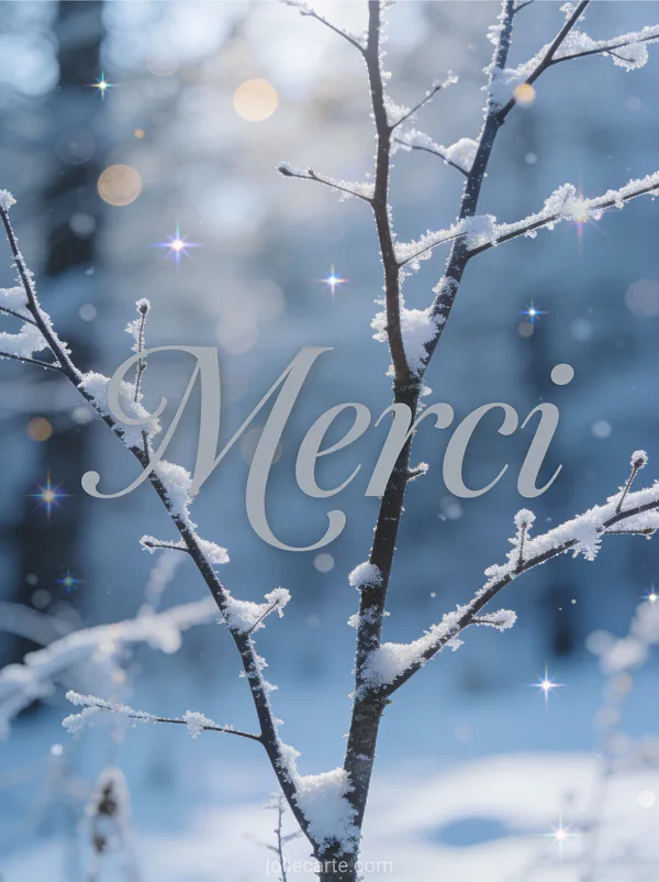 Carte de remerciement pour décès avec branches givrées paysage hiver texte Merci