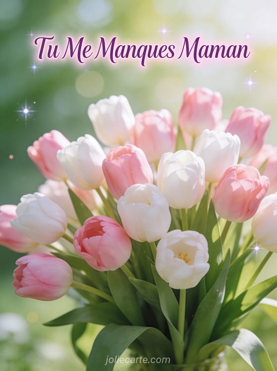 Bouquet de tulipes roses et blanches dans la lumière du matin avec feuilles vertes fraîches et texte Tu Me Manques Maman