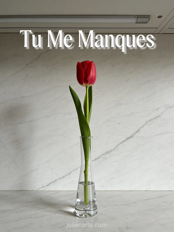 Tulipe rouge dans un vase en verre sur marbre avec le texte Tu Me Manques