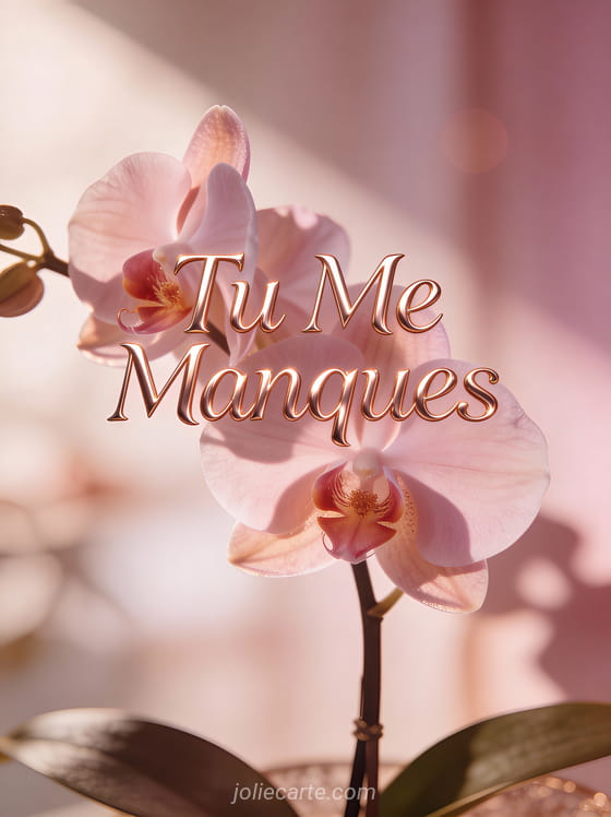 Orchidée rose aux pétales délicats sur fond doux avec le texte Tu Me Manques