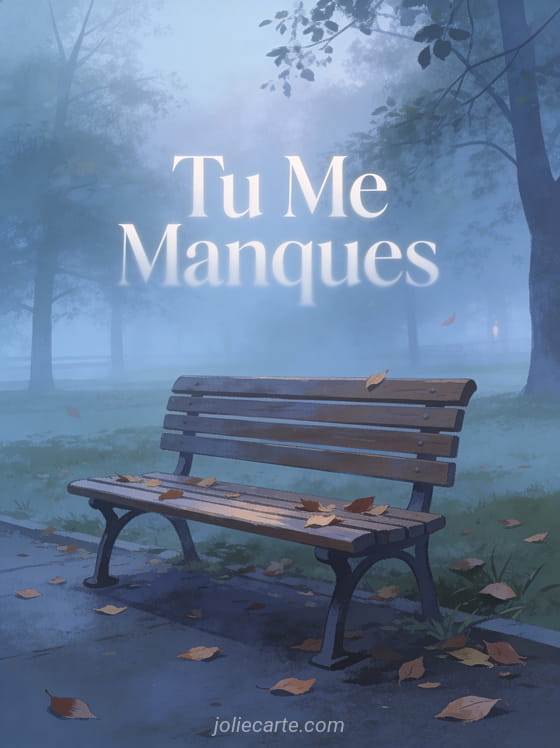 Banc solitaire dans un parc brumeux avec feuilles mortes et le texte Tu Me Manques