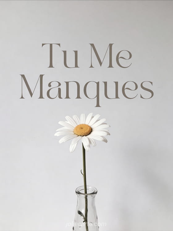 Marguerite simple dans un vase transparent sur fond épuré et le texte Tu Me Manques
