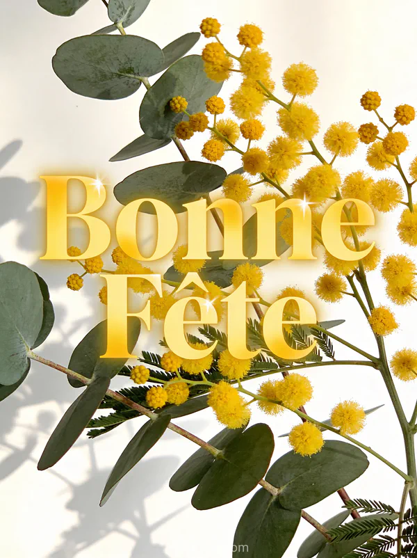 Composition de mimosa jaune vif et branches d'eucalyptus sur fond blanc lumineux avec le texte Bonne Fête