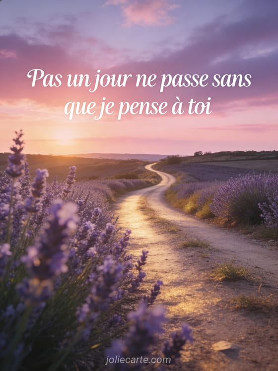 Chemin de campagne bordé de lavande en fleurs au coucher du soleil avec le texte Pas un jour ne passe sans que je pense à toi