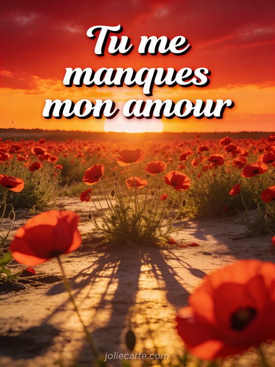 Coucher de soleil flamboyant au-dessus d'un champ de coquelicots avec le texte Tu me manques mon amour