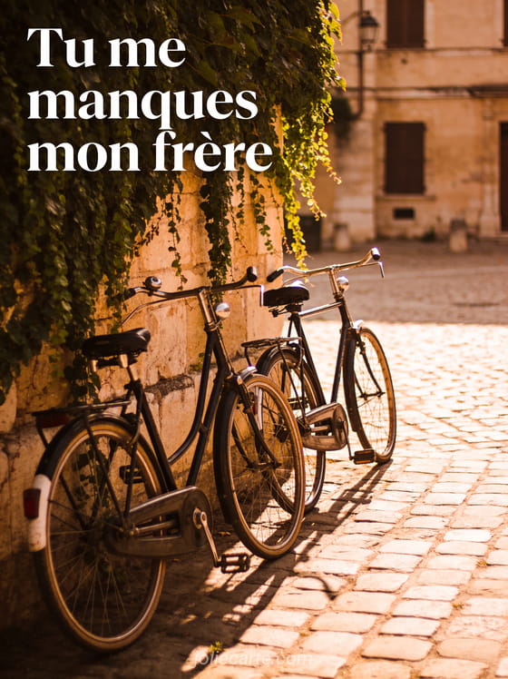 Deux vélos appuyés contre un mur couvert de lierre dans une lumière dorée avec le texte Tu me manques mon frère