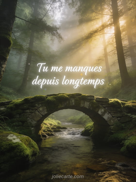 Pont en pierre couvert de mousse dans une forêt brumeuse avec des rayons de soleil et le texte Tu me manques depuis longtemps