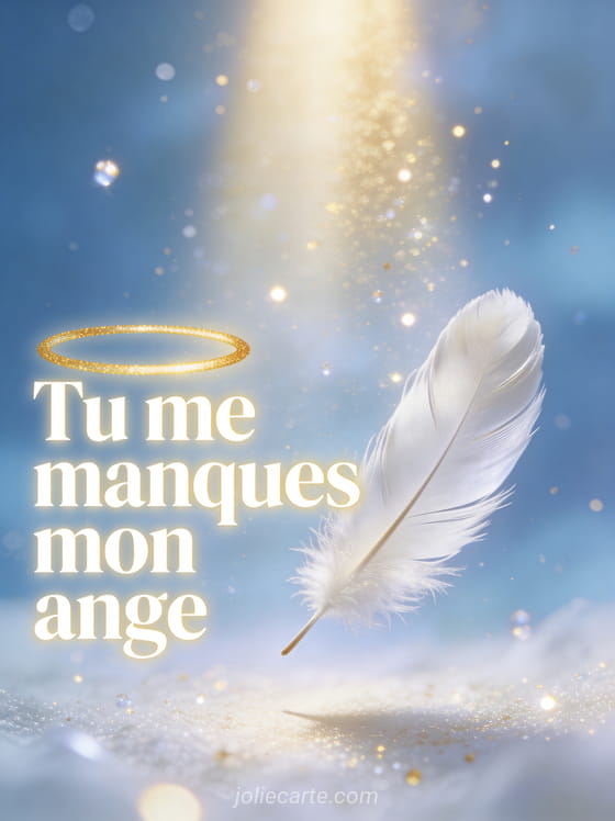 Plume blanche tombant dans un rayon de lumière dorée avec des particules brillantes et le texte Tu me manques mon ange