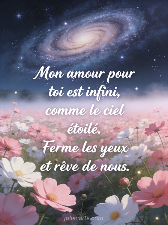 Champ de cosmos roses sous la voie lactée avec brume et le texte poème d'amour bonne nuit