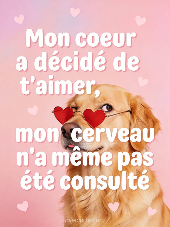 Chien golden retriever avec lunettes en forme de cœur et air coquin sur fond rose avec le texte Mon cœur a décidé