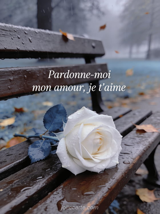 Rose blanche solitaire sur un banc en bois sous la pluie dans un parc automnal avec le texte Pardonne-moi mon amour je t'aime