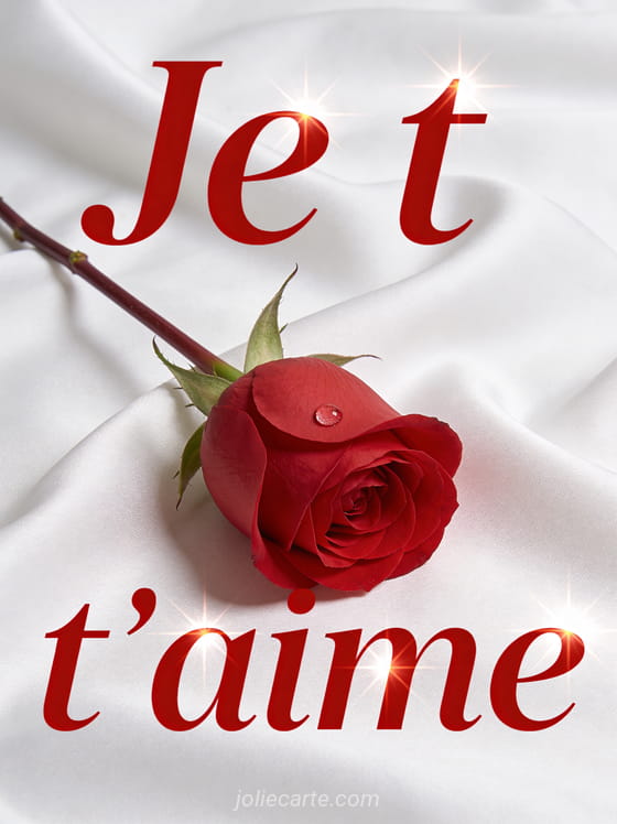 Rose rouge parfaite à longue tige posée sur soie blanche avec goutte de rosée et le texte Je t'aime