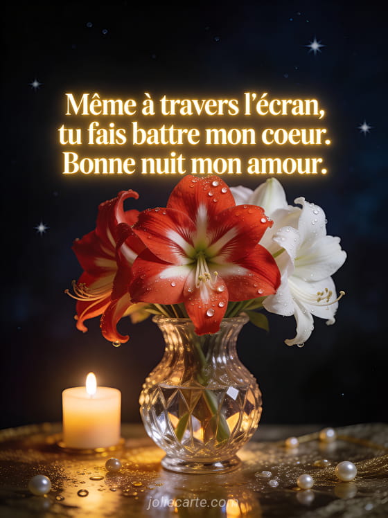 Amaryllis rouges et blancs dans un vase en cristal avec bougie et étoiles et le texte SMS romantique bonne nuit