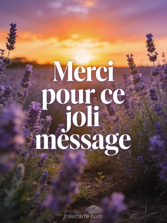 Coucher de soleil doré sur un champ de lavande avec le texte Merci pour ce joli message en lettres blanches élégantes
