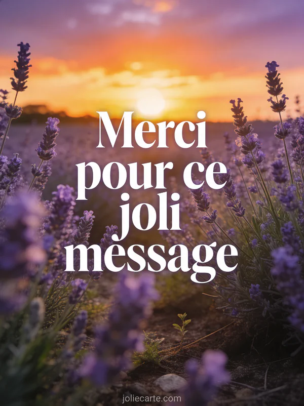 Coucher de soleil doré sur un champ de lavande avec le texte Merci pour ce joli message en lettres blanches élégantes