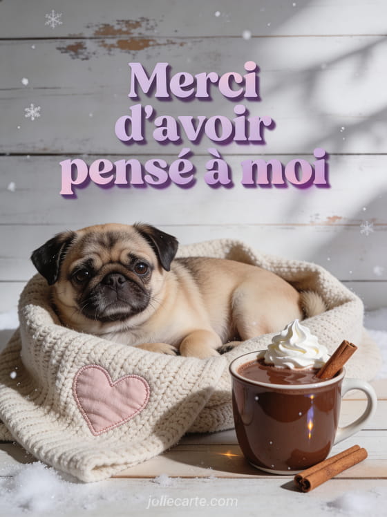 Adorable chien carlin couché dans un plaid beige tricoté avec le texte Merci d'avoir pensé à moi