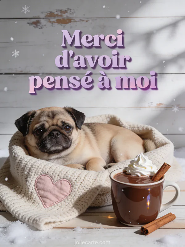 Adorable chien carlin couché dans un plaid beige tricoté avec le texte Merci d'avoir pensé à moi