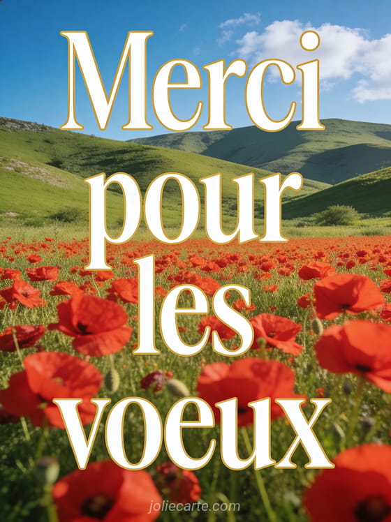 Champ de coquelicots rouges sous un ciel bleu avec le texte Merci pour les voeux en lettres blanches dorées
