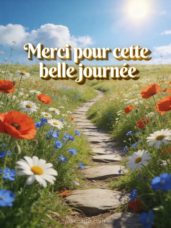 Prairie fleurie avec coquelicots marguerites et bleuets sous un ciel d'été avec le texte Merci pour cette belle journée