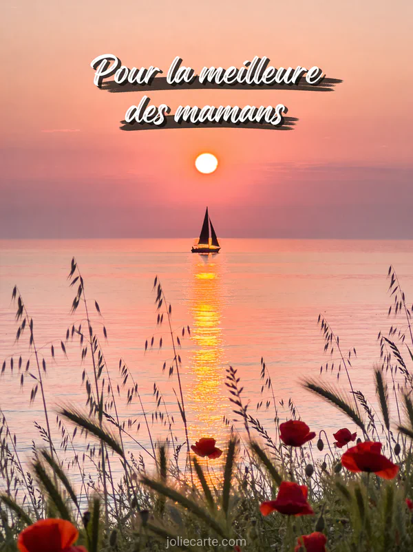 Coucher de soleil rose et doré sur la mer avec voilier à l'horizon et coquelicots au premier plan