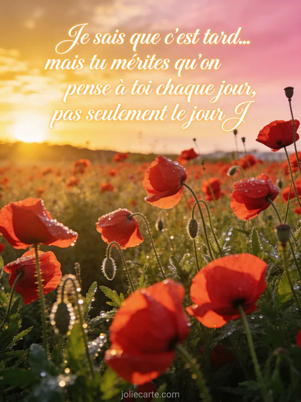Champ de coquelicots rouges au lever du soleil avec rosée matinale et ciel doré et rose avec le texte Je sais que c'est tard