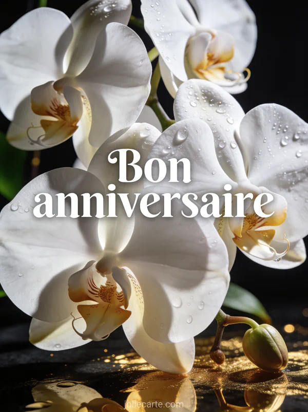 Orchidée phalaenopsis blanche avec gouttes de rosée sur fond sombre éclairage dramatique texte Bon anniversaire