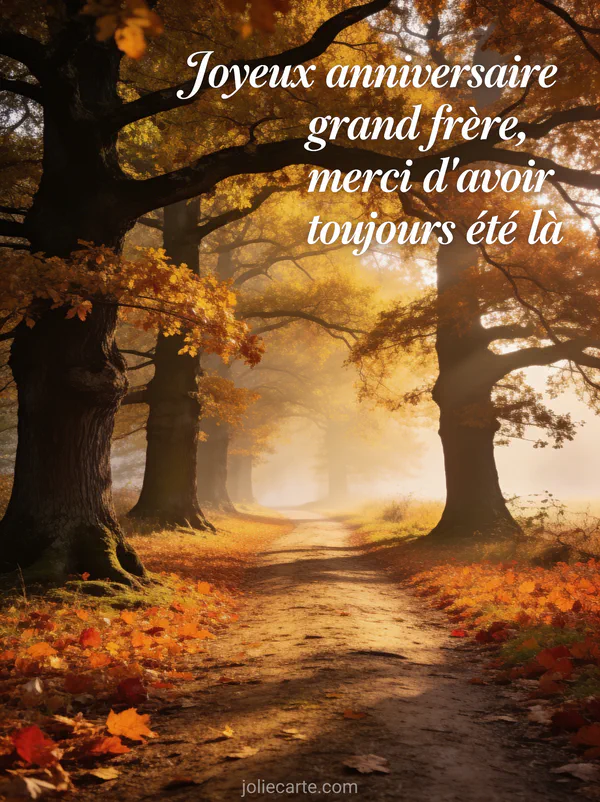 Chemin bordé de grands chênes aux feuilles dorées et cuivrées en automne avec tapis de feuilles mortes et brume matinale