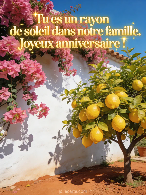 Jardin méditerranéen avec bougainvilliers roses sur mur blanc citronnier sol en terre cuite ciel bleu message anniversaire belle-fille