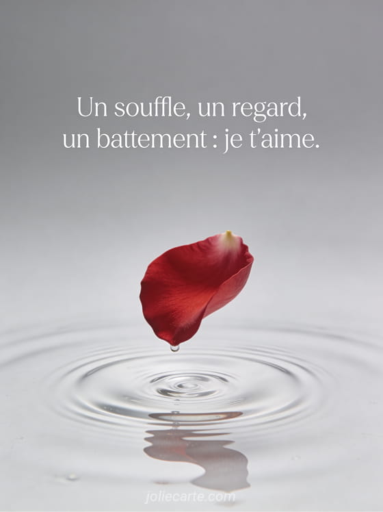 Pétale de rose rouge tombant sur une surface d'eau calme créant de fines ondulations sur fond gris perle épuré