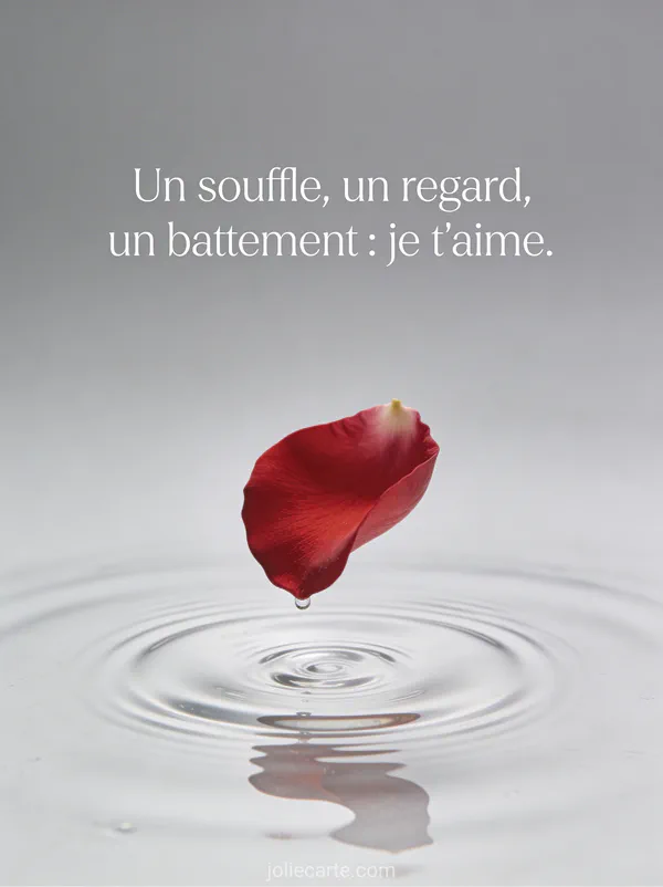 Pétale de rose rouge tombant sur une surface d'eau calme créant de fines ondulations sur fond gris perle épuré