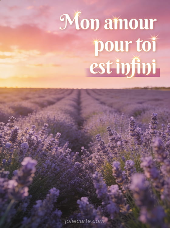 Champ de lavande en fleurs s'étendant jusqu'à l'horizon sous un ciel rosé et doré au crépuscule