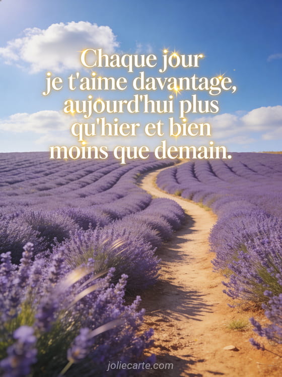 Champ de lavande sous un ciel bleu d'été avec un chemin de terre et lumière dorée et le texte Chaque jour je t'aime davantage