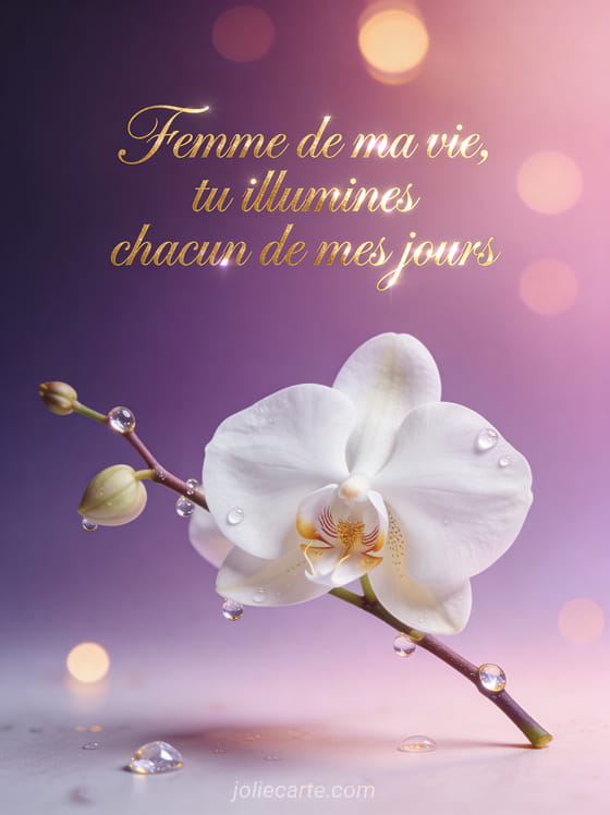 Orchidée blanche élégante avec gouttes d'eau cristallines sur fond dégradé violet et rose