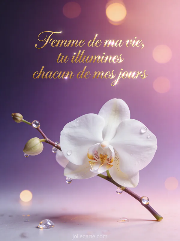 Orchidée blanche élégante avec gouttes d'eau cristallines sur fond dégradé violet et rose