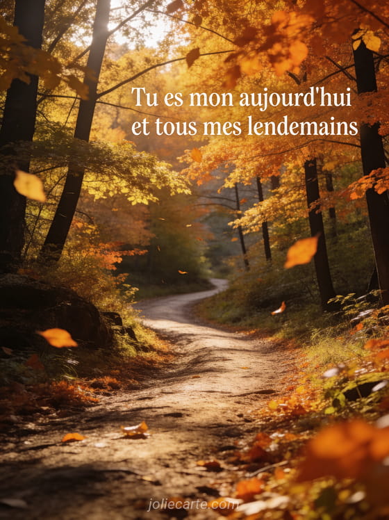 Chemin sinueux dans une forêt automnale aux couleurs flamboyantes avec feuilles dorées tombant