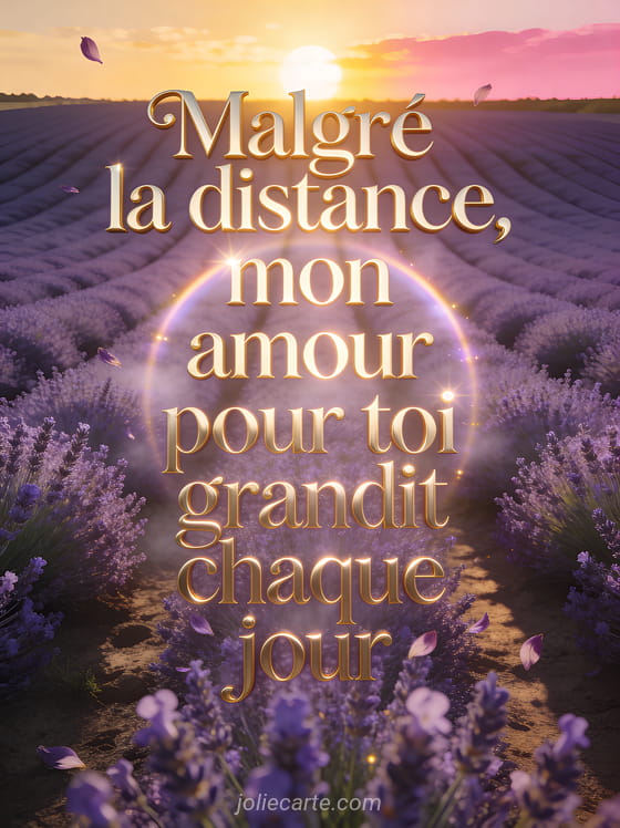 Champ de lavande violet s'étendant jusqu'à l'horizon sous un coucher de soleil doré et rosé avec le texte Malgré la distance mon amour pour toi grandit chaque jour