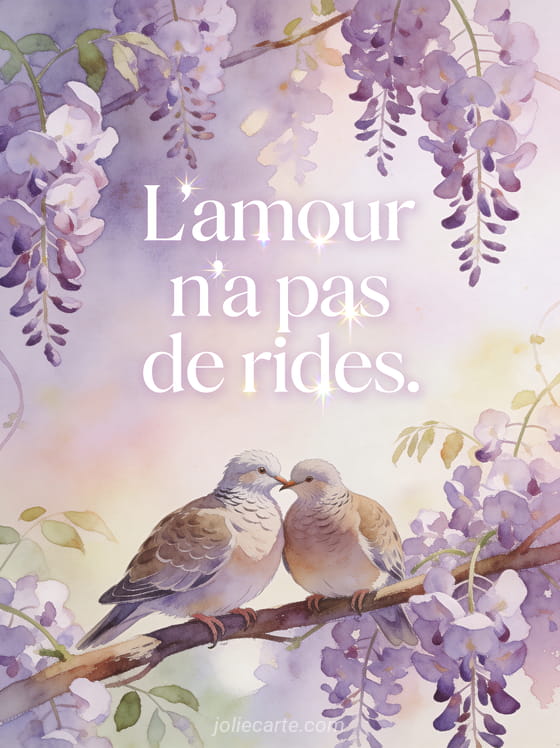 Couple de tourterelles se becquetant sur une branche de glycine mauve en pleine floraison printanière