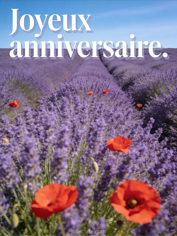 Texte Joyeux anniversaire en lettres blanches sur un champ de lavande provençal avec des coquelicots rouges sous un ciel bleu estival