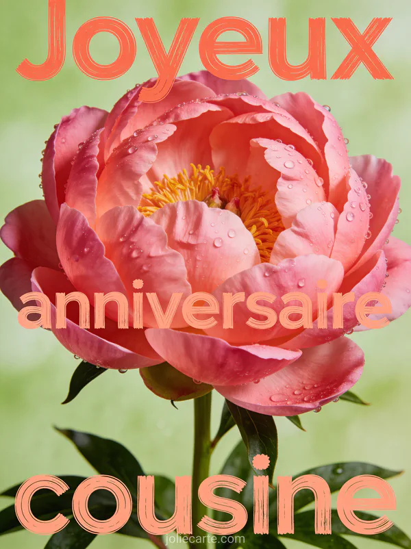 Pivoine rose géante en gros plan macro avec gouttes de rosée sur les pétales et le texte Joyeux anniversaire cousine en lettres corail