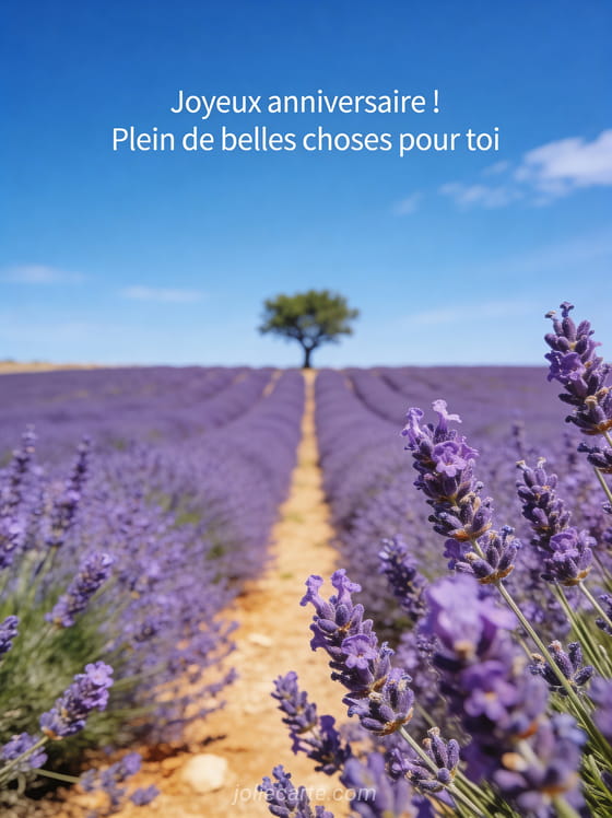 Champ de lavande sous un ciel bleu d'été en Provence avec rangées violettes à perte de vue et un arbre au loin avec texte anniversaire blanc