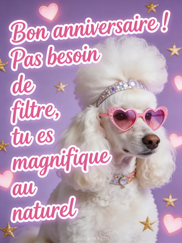 Caniche blanc avec une coupe extravagante portant un bandeau à paillettes et des lunettes en forme de coeur roses