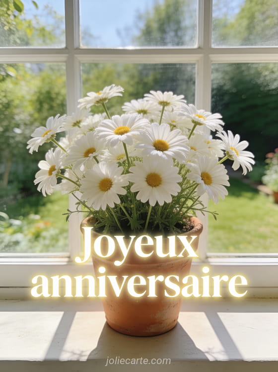 Bouquet de marguerites blanches dans un pot en terre cuite sur rebord de fenêtre ensoleillé avec vue sur un jardin vert