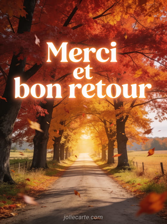 Route de campagne en automne bordée de grands arbres aux feuilles rouges et orangées formant un tunnel de couleurs lumière dorée au bout du chemin