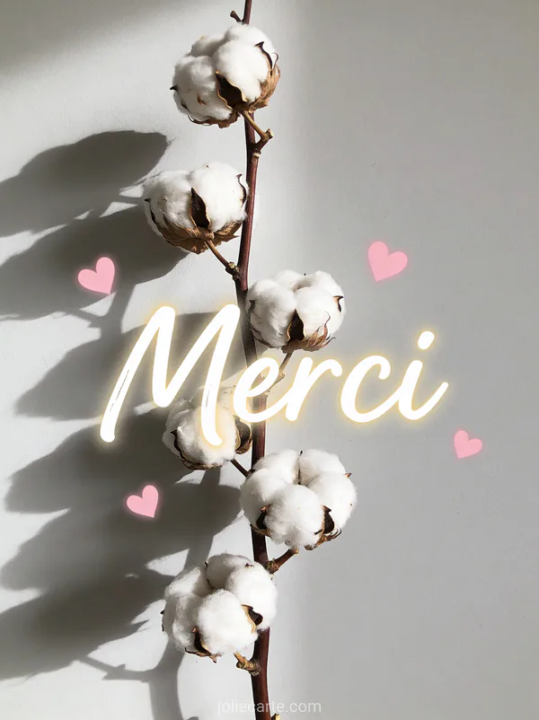 Branche de cotonnier avec fleurs de coton blanc et petits coeurs roses sur fond gris perle style minimaliste