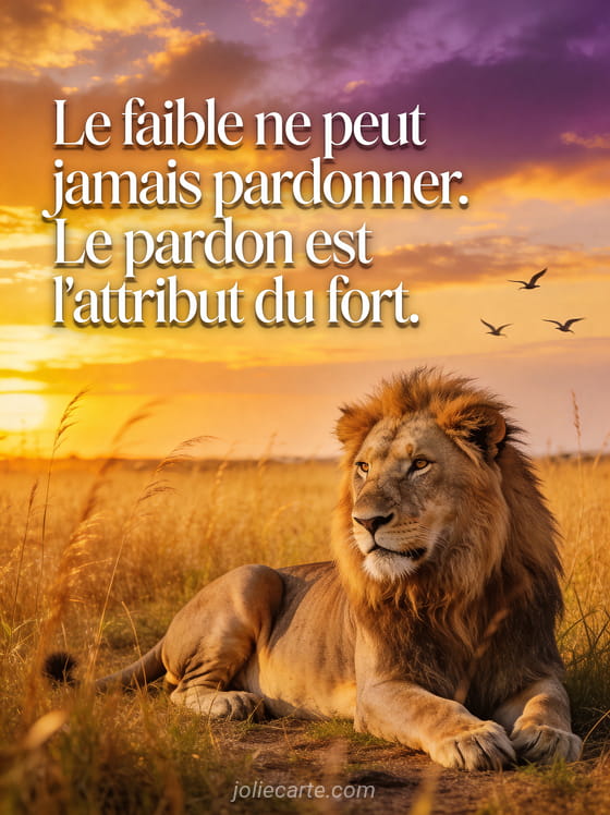 Lion majestueux au repos dans une savane dorée au coucher du soleil avec un texte sur le pardon, style illustration majestueuse