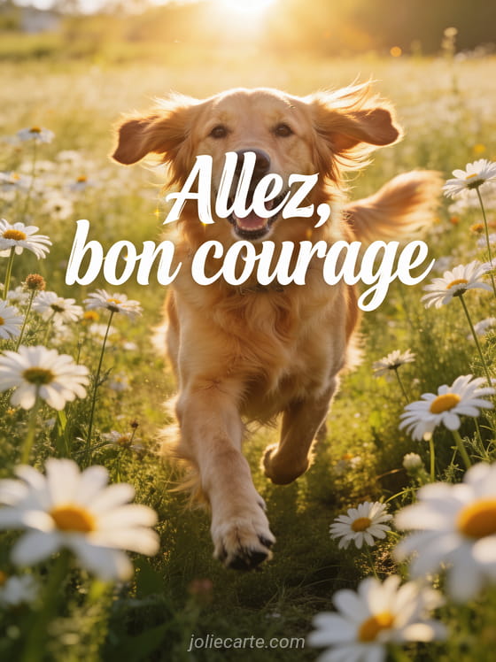 Chien golden retriever joyeux courant dans un champ de marguerites au soleil avec oreilles qui volent au vent et le texte Allez bon courage