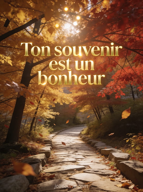 Sentier bordé d'arbres en automne avec des feuilles dorées et une lumière chaude qui traverse les branches