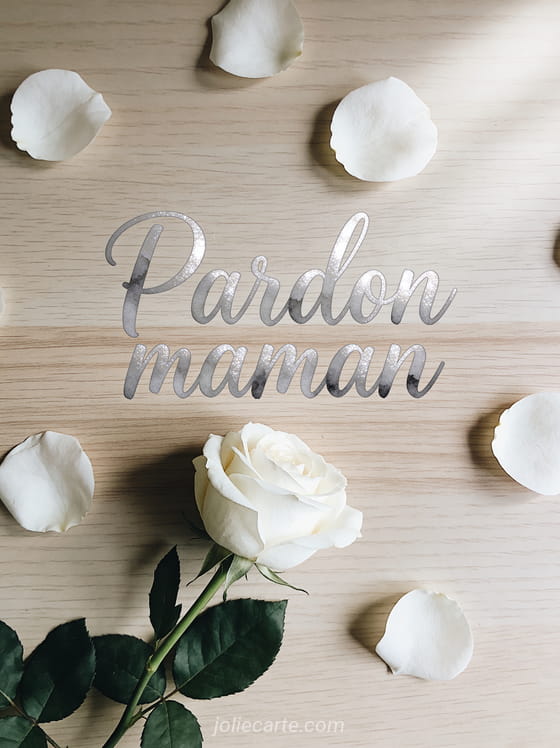 Rose blanche délicate posée sur un fond de bois clair avec quelques pétales dispersés et le texte Pardon maman en lettres manuscrites douces